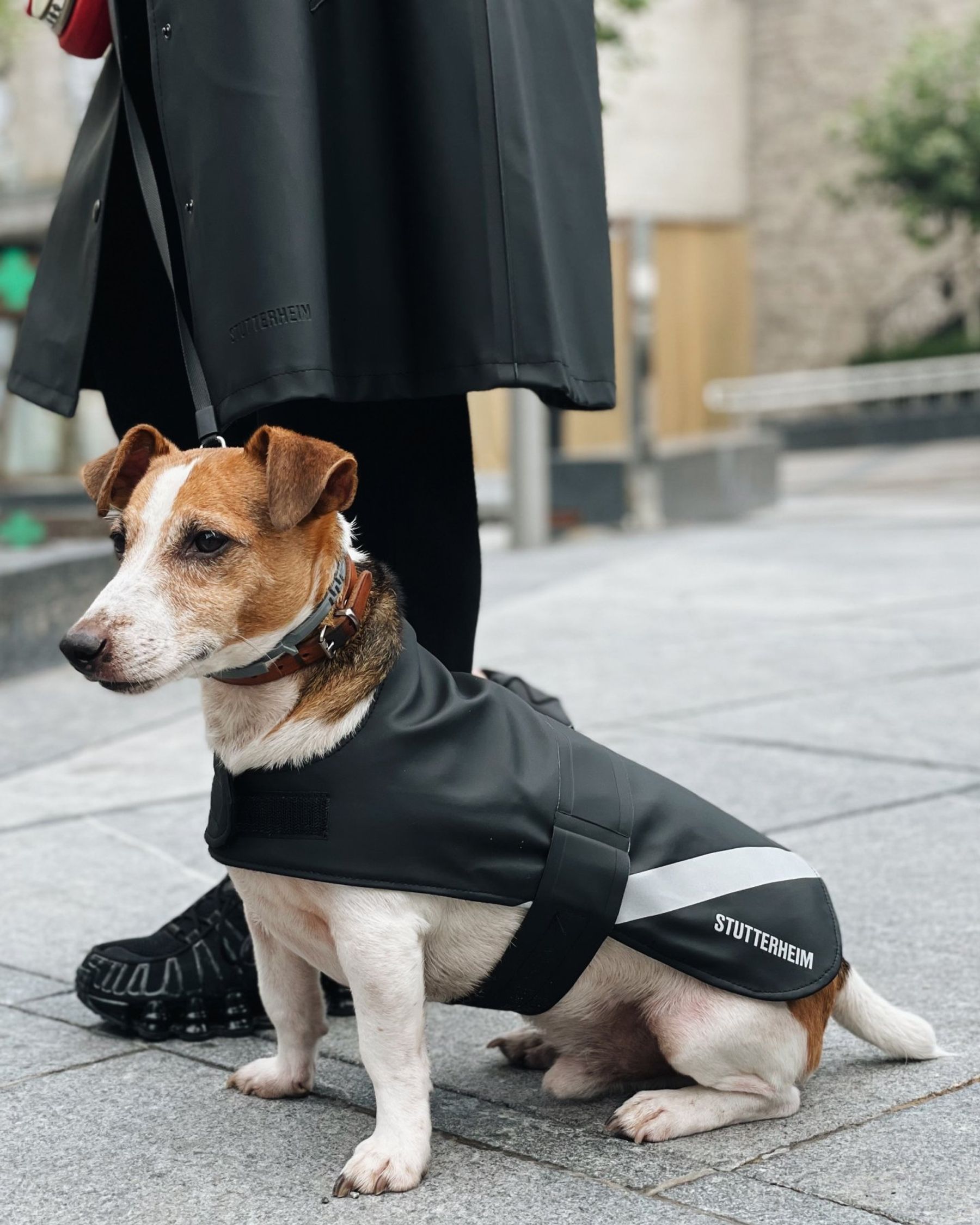 stutterheim dog raincoat black accessories dog-raincoats