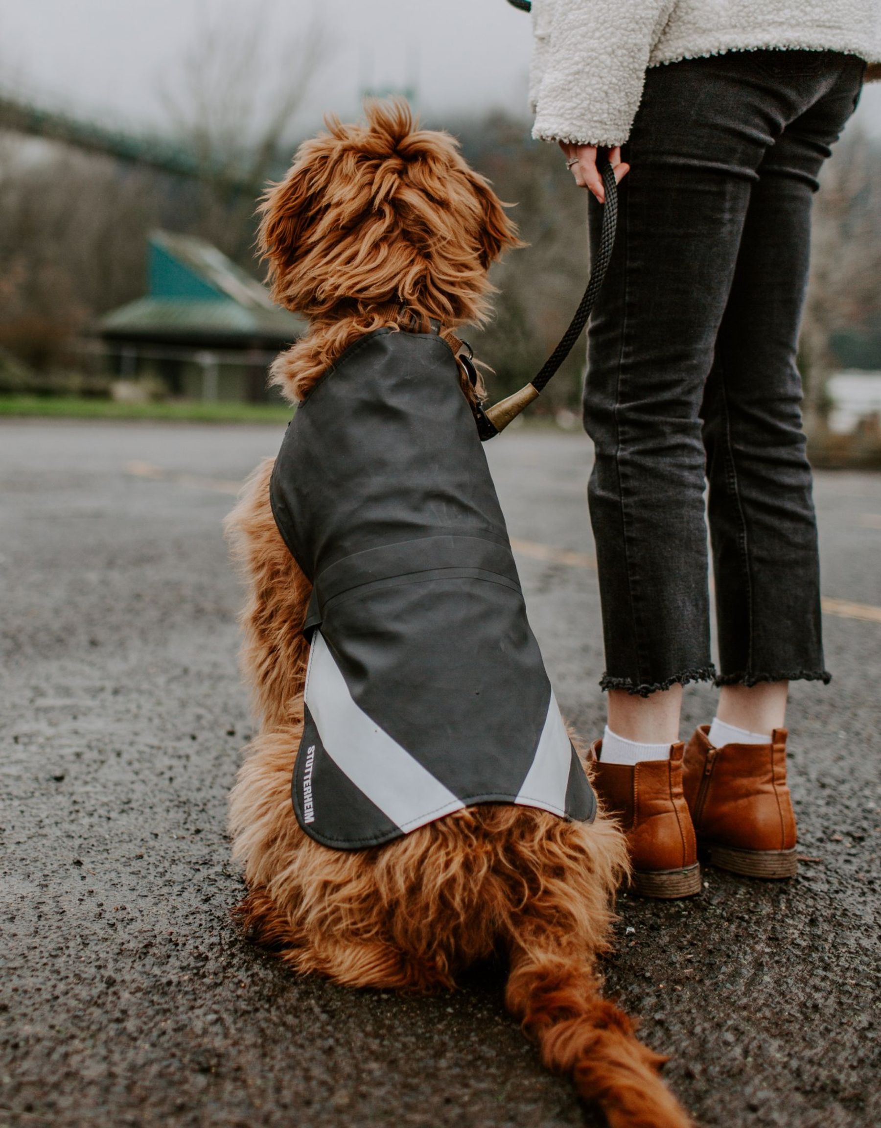 stutterheim dog raincoat black accessories dog-raincoats